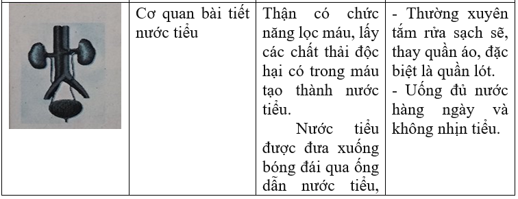 Giải vở bài tập môn Tự nhiên xã hội 3 bài 17-18: Ôn tập: Con người và sức khỏe