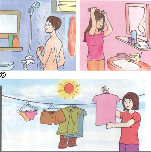 Giải SGK Khoa học 5 bài 8