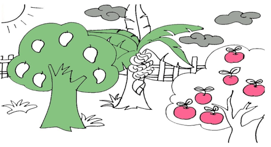 Giải vở bài tập môn Tự nhiên xã hội 3 bài 40: Thực vật