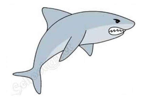 Giải vở bài tập môn Tự nhiên xã hội 3 bài 52: Cá