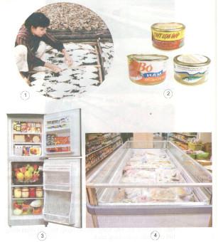 Giải bài tập Khoa học 4 bài 11