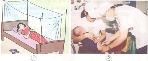 Giải bài tập SGK Khoa học 5 bài 14