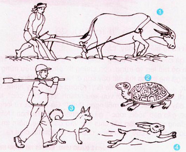 Giải vở bài tập Tiếng Việt 2 tuần 17: Luyện từ và câu