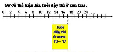 Giải bài tập SGK Khoa học 5 bài 20, 21