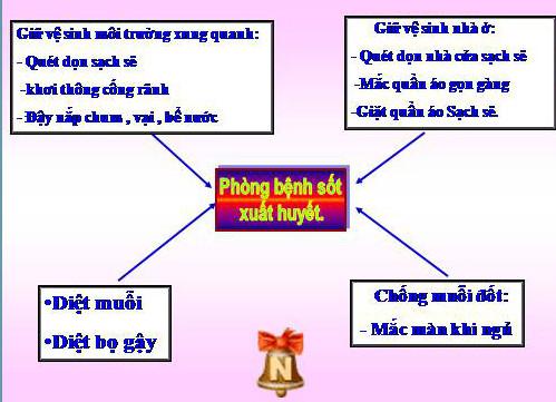 Giải bài tập SGK Khoa học 5 bài 20, 21