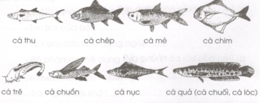 Giải vở bài tập Tiếng Việt lớp 2 tập 2 tuần 26: Luyện từ và câu