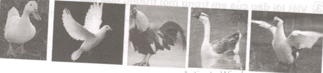 Ôn tập giữa học kì 2 - Tiết 4