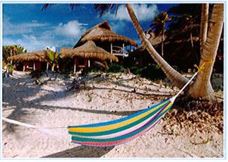 Giải bài tập tiếng Anh lớp 5