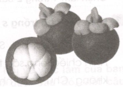 Giải vở bài tập Tiếng Việt lớp 2 tập 2 tuần 28: Tập làm văn 