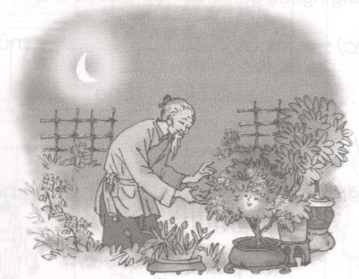 Giải vở bài tập Tiếng Việt lớp 2 tập 2 tuần 29: Tập làm văn 