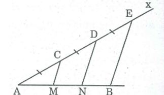 Bài tập môn Toán lớp 8