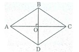 Bài tập môn Toán lớp 8