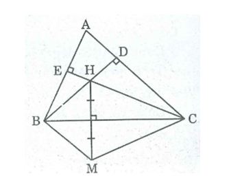 Bài tập môn toán 8