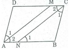 Bài tập môn toán 8