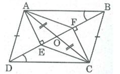 Bài tập môn toán 8