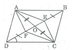 Bài tập môn toán 8