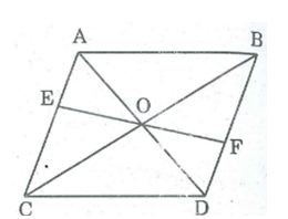 Bài tập môn toán 8