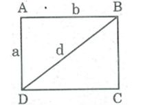 Bài tập môn Toán lớp 8