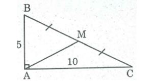 Bài tập môn Toán lớp 8