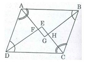 Bài tập môn Toán lớp 8