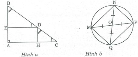 Bài tập môn Toán lớp 8