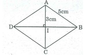 Bài tập toán lớp 8