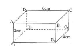 Bài tập môn Toán 8