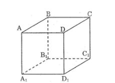 Bài tập môn Toán 8