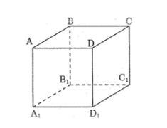 Bài tập môn Toán 8