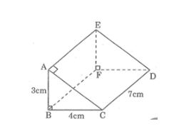 Bài tập môn Toán 8