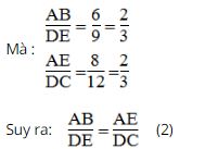 Bài tập môn Toán 8