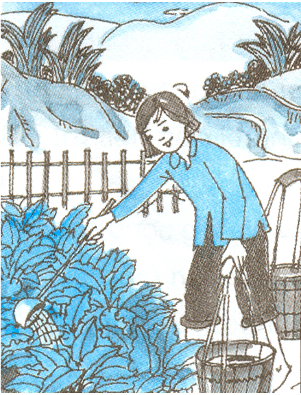 Giải vở bài tập Đạo đức 3 bài 14: Chăm sóc cây trồng, vật nuôi