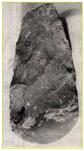 Lý thuyết Lịch sử 10 bài 13: Việt Nam thời nguyên thủy