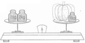 Giải vở bài tập Toán 2 bài 42 trang 45