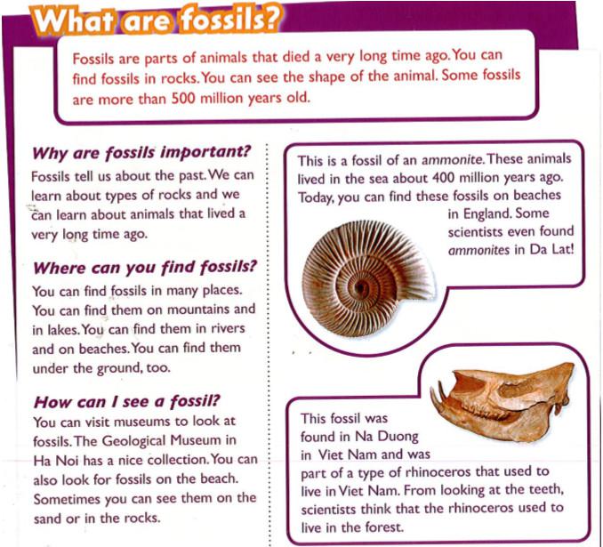 Giải bài tập tiếng Anh lớp 5