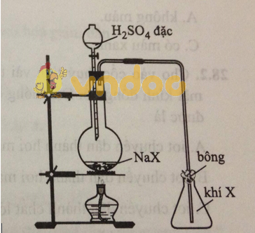 Trắc nghiệm Hóa học 10 bài 27: Bài thực hành số 2: Tính chất hóa học của khí clo và hợp chất của clo