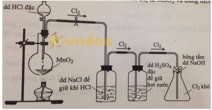 Trắc nghiệm Hóa học 10 bài 27: Bài thực hành số 2: Tính chất hóa học của khí clo và hợp chất của clo