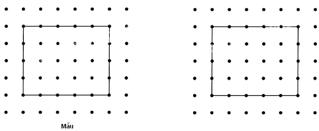 Hướng dẫn Giải vở bài tập Toán 2: Tự kiểm tra Chương 4