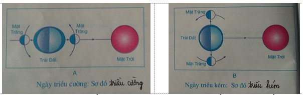 Tập bản đồ địa lý 10