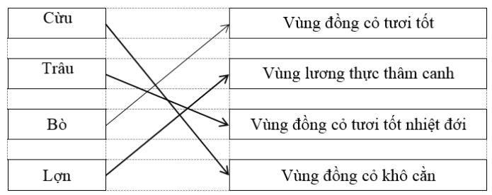 Tập bản đồ địa lý 10