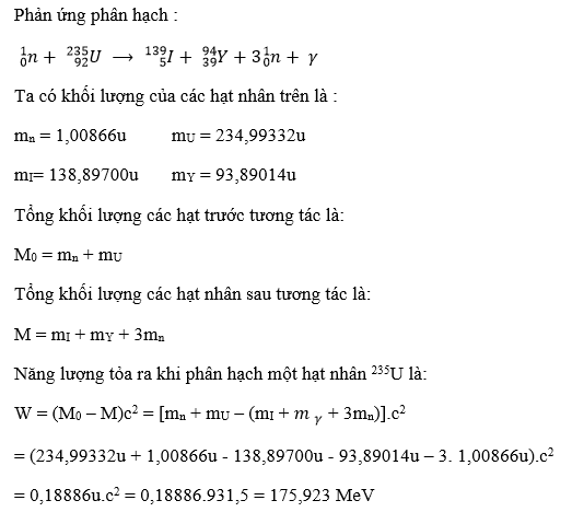 Phản ứng phân hạch