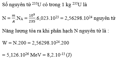 Phản ứng phân hạch
