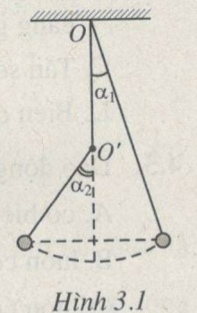 Giải bài tập SBT Vật lý 12 bài 3: Con lắc đơn
