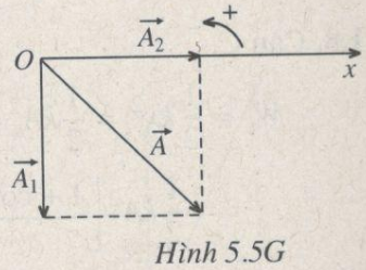 Giải bài tập SBT Vật lý 12 bài 5
