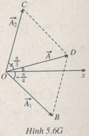 Giải bài tập SBT Vật lý 12 bài 5