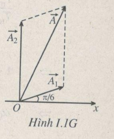 Bài tập cuối chương 1 - Dao động cơ