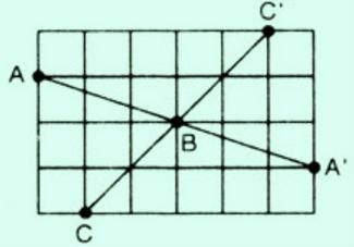 Giải bài tập SGK Toán lớp 8 bài 8: Đối xứng tâm
