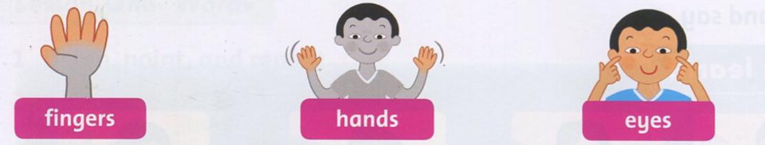 Giải bài tập tiếng Anh lớp 2