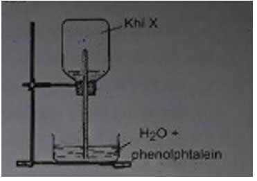 Trắc nghiệm Hóa học 11