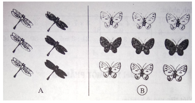 Giải vở bài tập Toán 2 bài 109: Một phần ba
